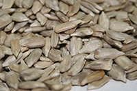 Durham-Ellis Pecan Company: Roasted and Salted Sunflower Seeds - 1